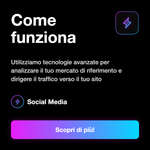 WORLDWIDE TRAFFIC [AWV™ - - Come funziona: Utilizziamo tecnologie avanzate per analizzare il tuo mercato di riferimento e dirigere il traffico verso il tuo sito